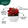 Kit 3 Suculenta Artificial Mini Vaso de Plástico Branco - 4