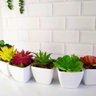 Kit 3 Suculenta Artificial Mini Vaso de Plástico Branco - 2