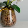 Arranjo Orquídea Toque Real Branca no Vaso Pera Beng Flores - 4