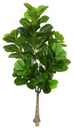 Ver imagem 1 de Planta Árvore Artificial Ficus Lyrata Real Toque X82 Verde 1,5m