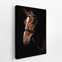 Ver imagem 2 de Cavalo Animais Fotografia Fundo Preto Quadro Canvas 100x70cm