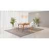 Conjunto Mesa de Jantar Madeira Maciça Retangular com 6 Cadeiras Eames - 1